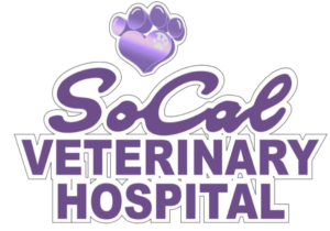 SoCal Veterinary Hospital - Animal Care Clinic San Marcos CA