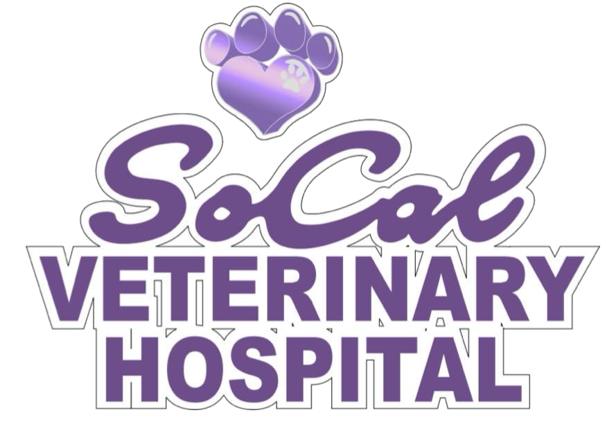 Veterinarian: SOCAL Veterinary Hospital - All animal types