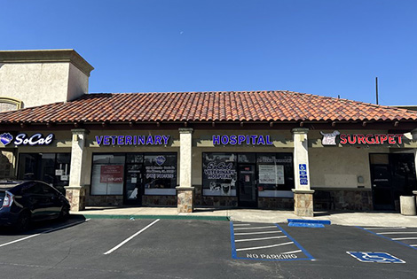 SoCal Veterinary Hospital Entrance View