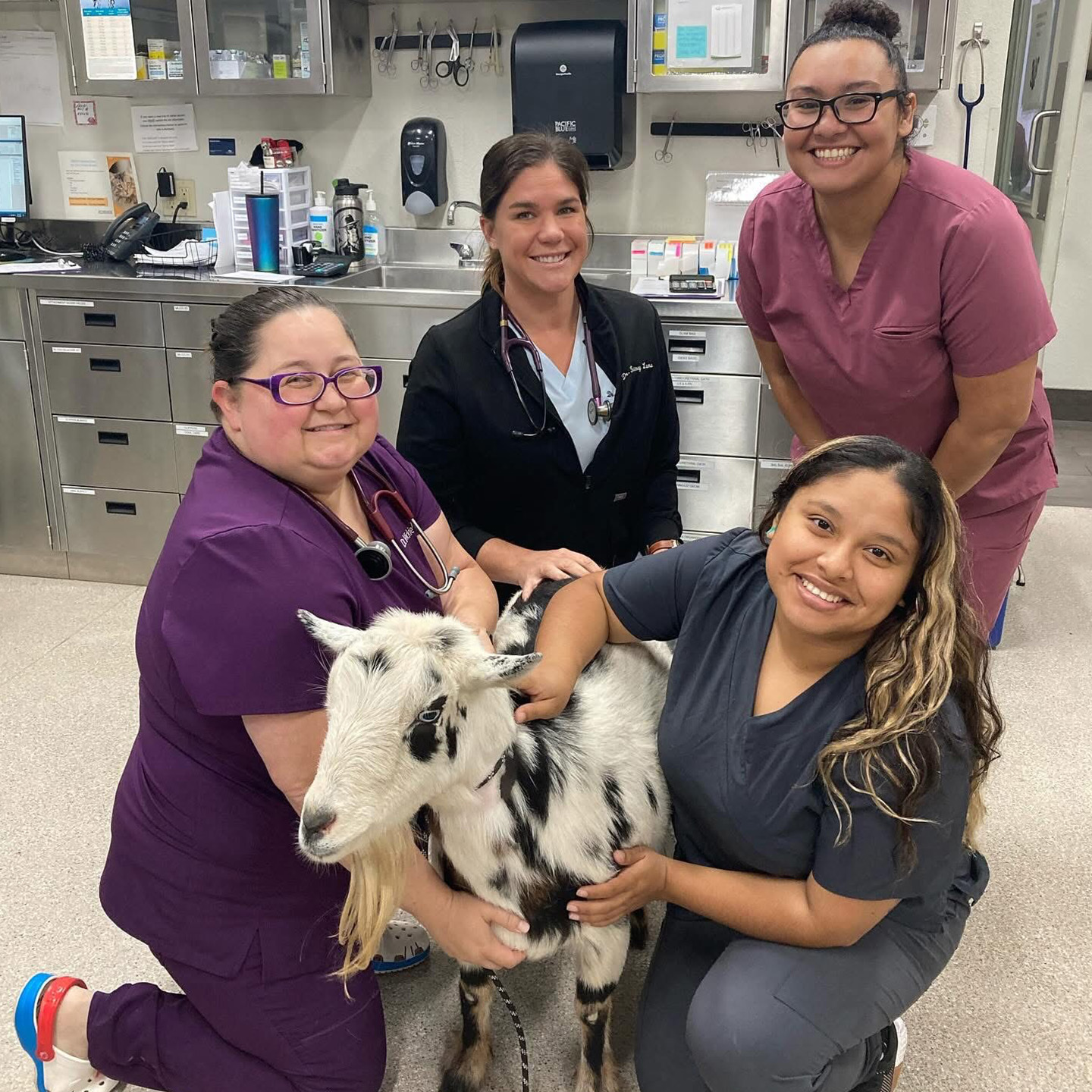 a person in scrubs holding a gray and white dog