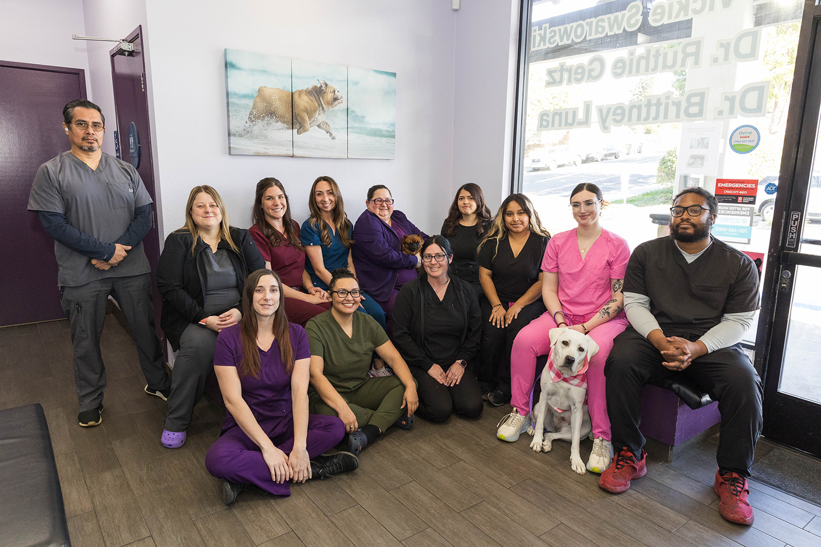 Socal Vet Hospital SoCal Veterinary Hospital vet team