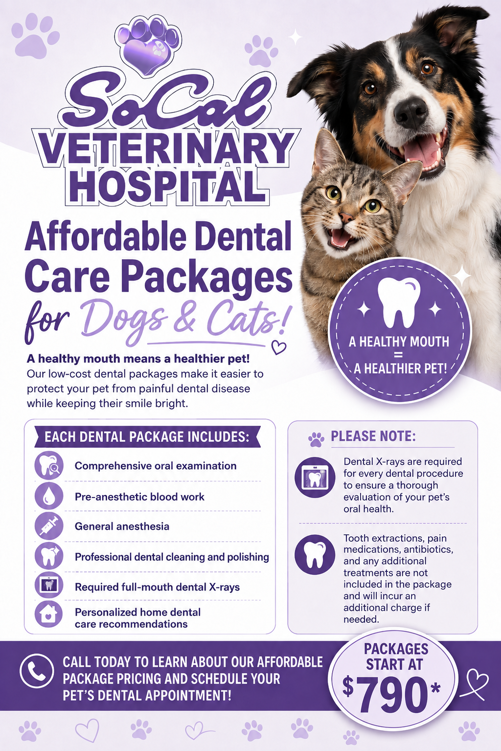 SoCal Veterinary Hospital Entrance View